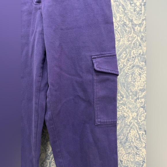 Aritzia Wilfred Free Modern Cargo Pant Purple High Rise Utility Button Fly Sz 6 - Picture 2 of 6